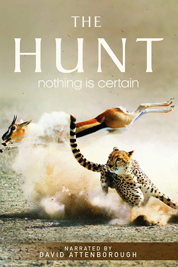 The Hunt Juliste