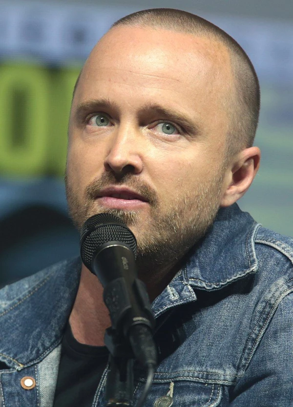 <strong>Aaron Paul</strong>. Kuva Kirjoittaja Gage Skidmore.