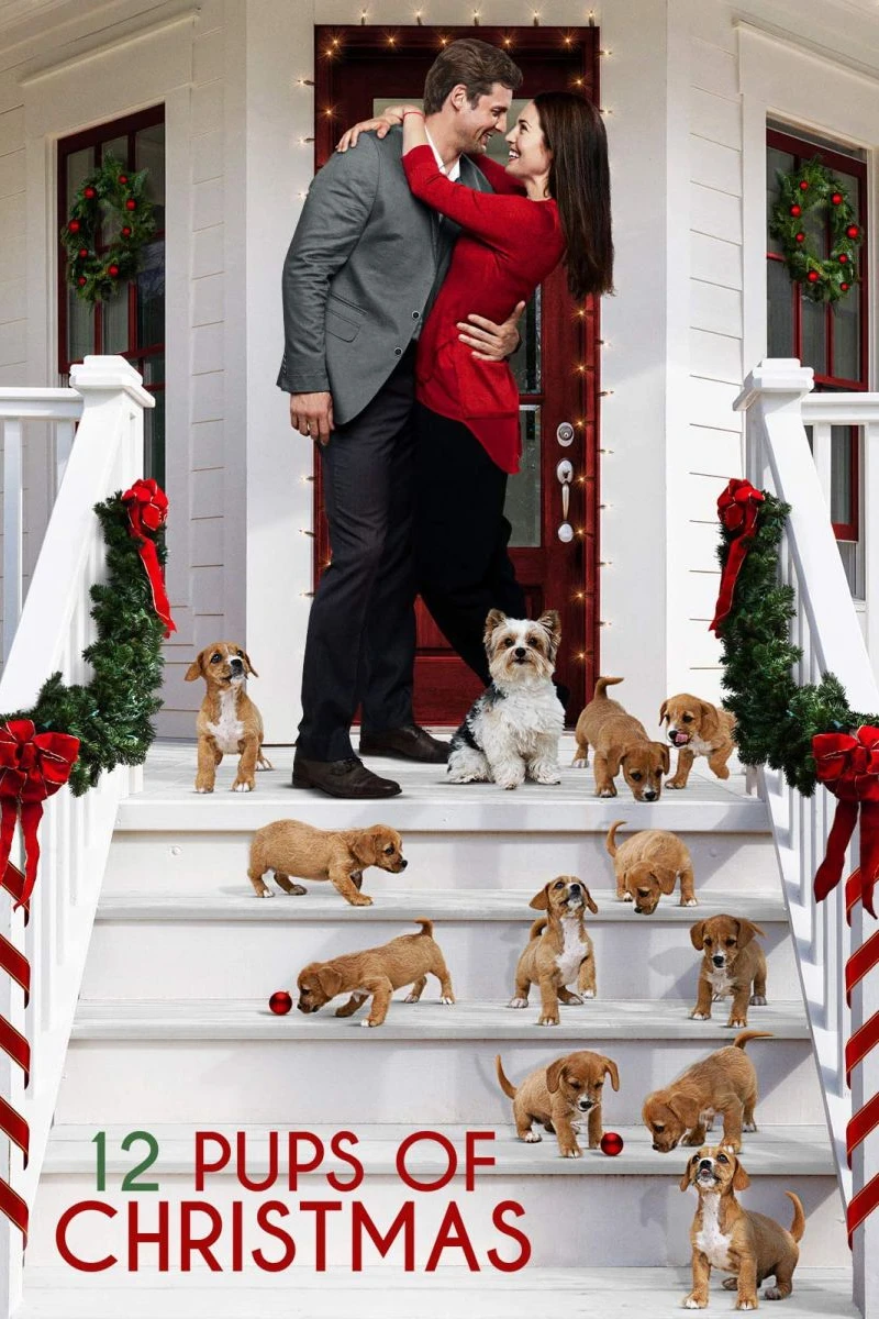 12 Pups of Christmas Juliste