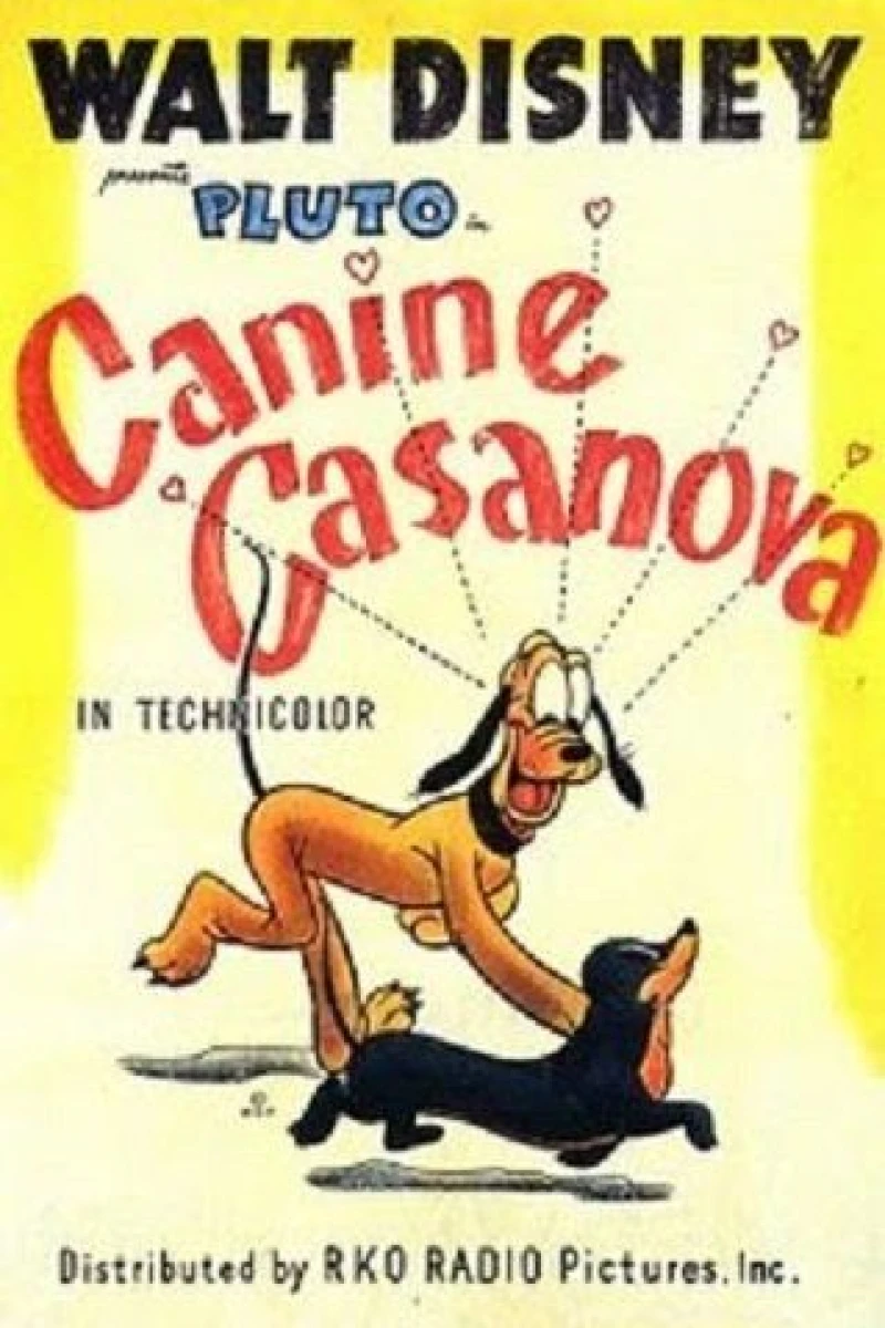 Canine Casanova Juliste