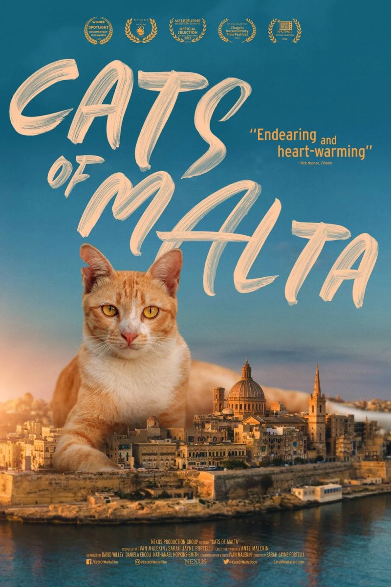 Cats of Malta Juliste