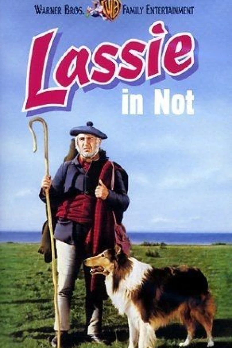 Challenge to Lassie Juliste