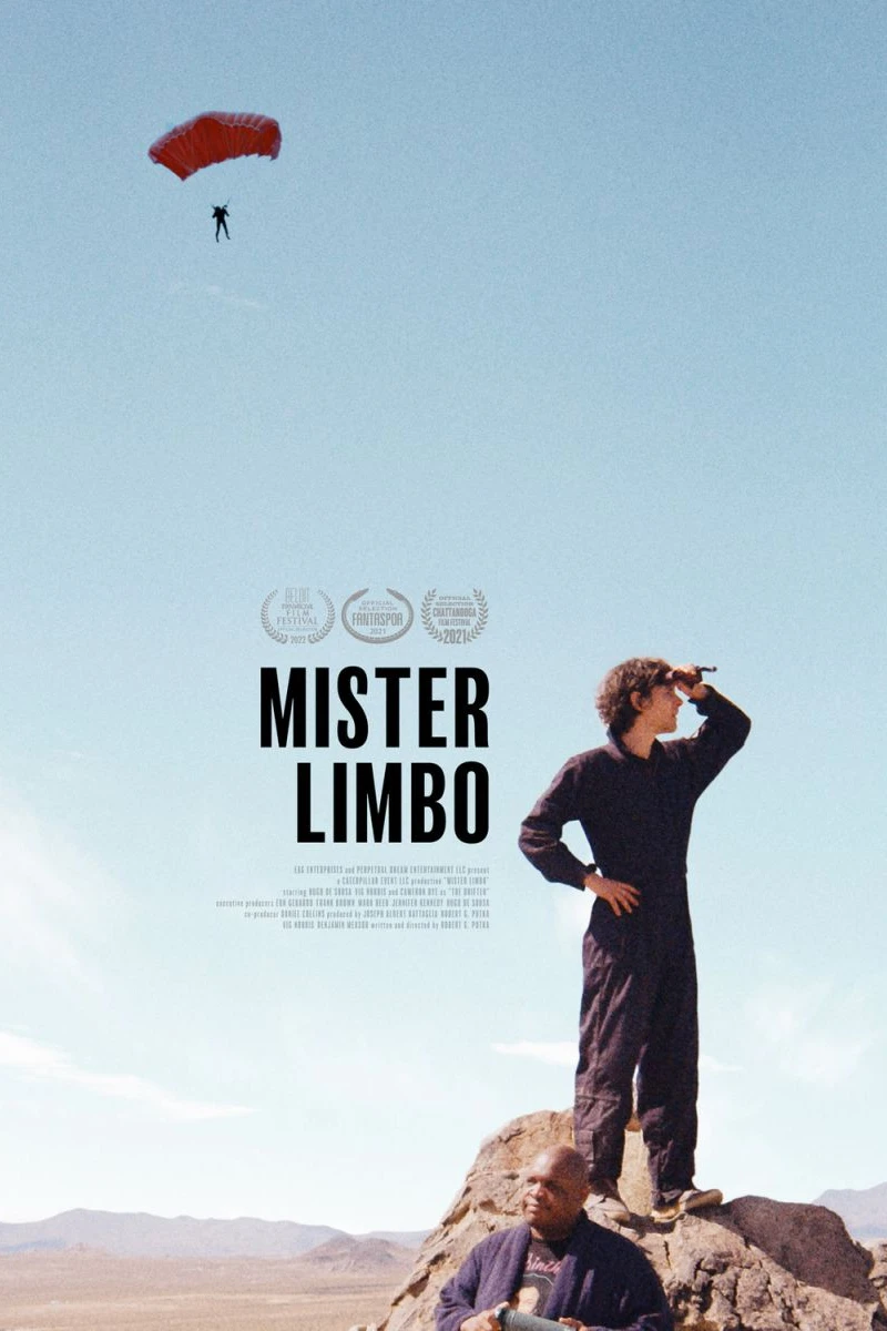 Mister Limbo Juliste