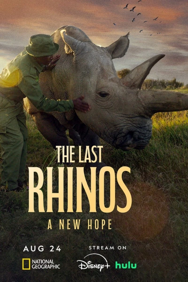 The Last Rhinos: A New Hope Juliste