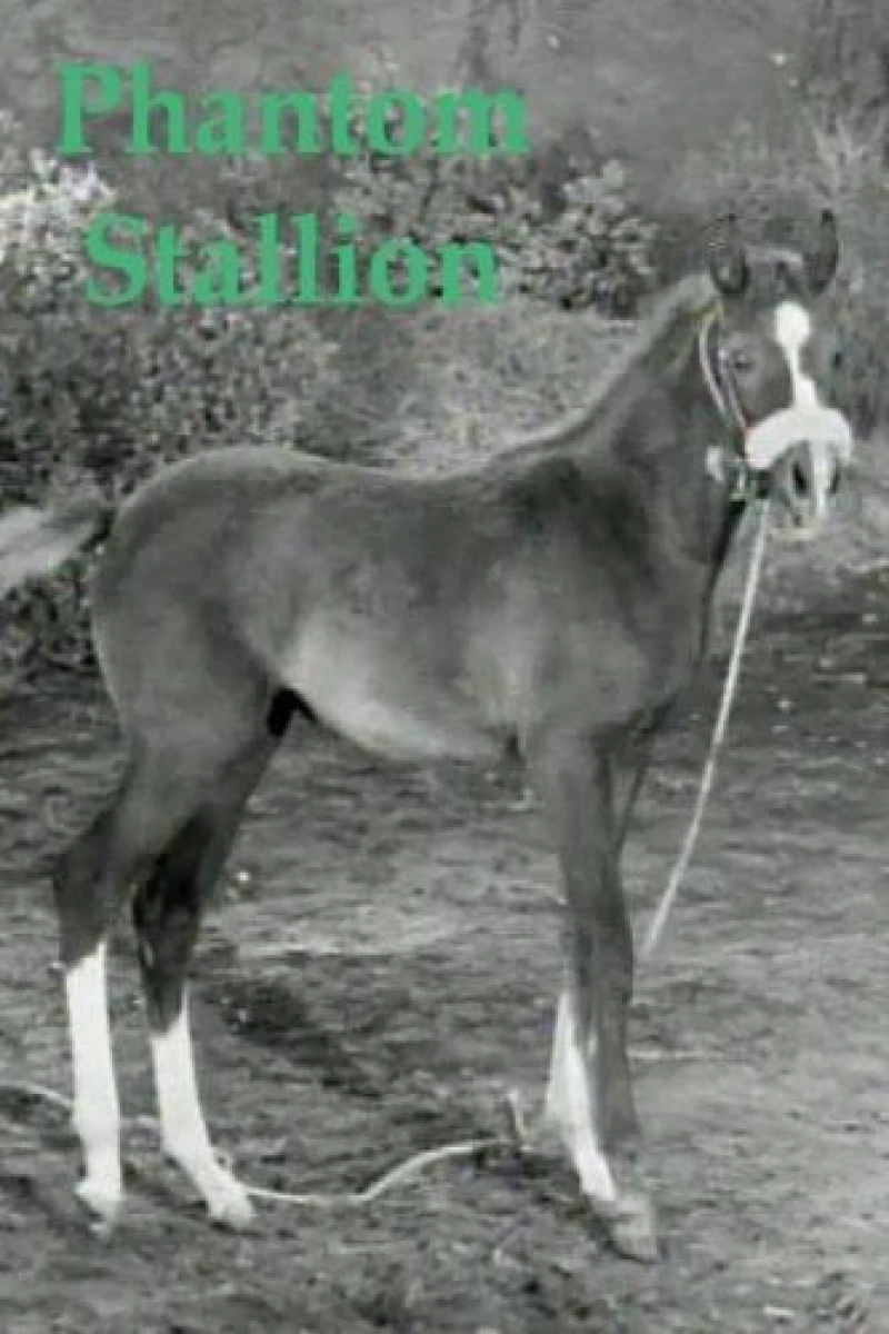 Phantom Stallion Juliste