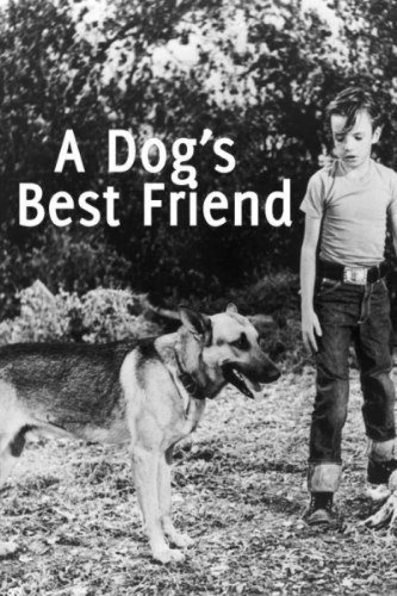 A Dog's Best Friend Juliste