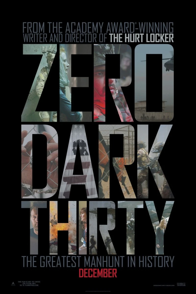 Zero Dark Thirty Juliste