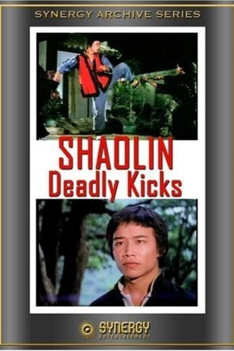 Shaolin Deadly Kicks Juliste