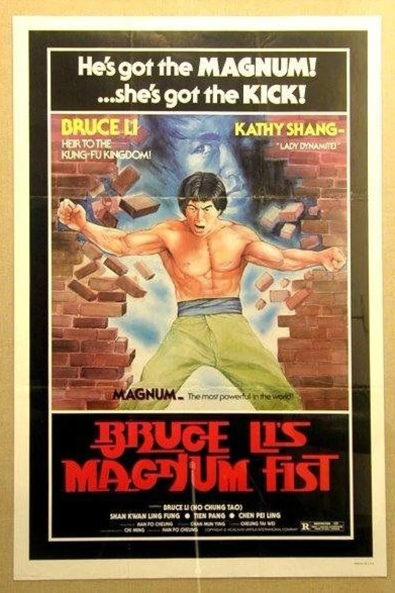 Bruce Li's Magnum Fist Juliste