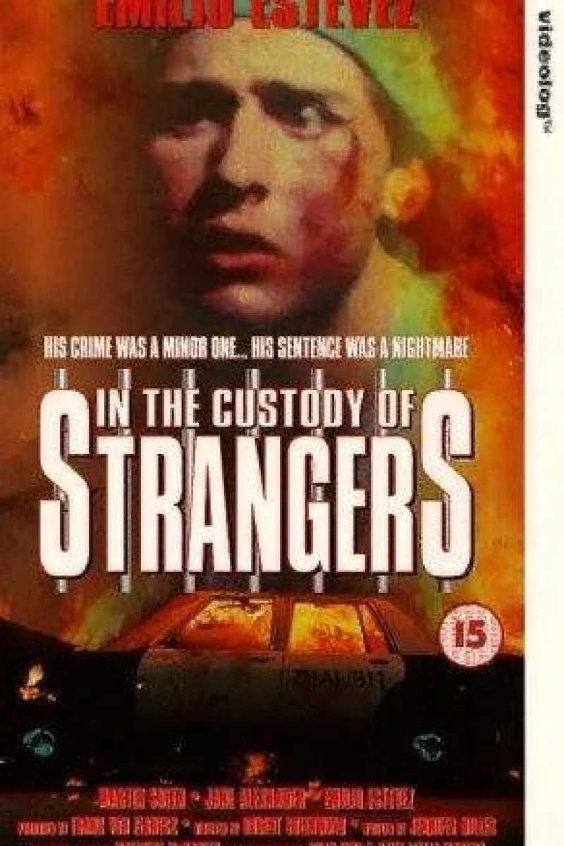 In the Custody of Strangers Juliste