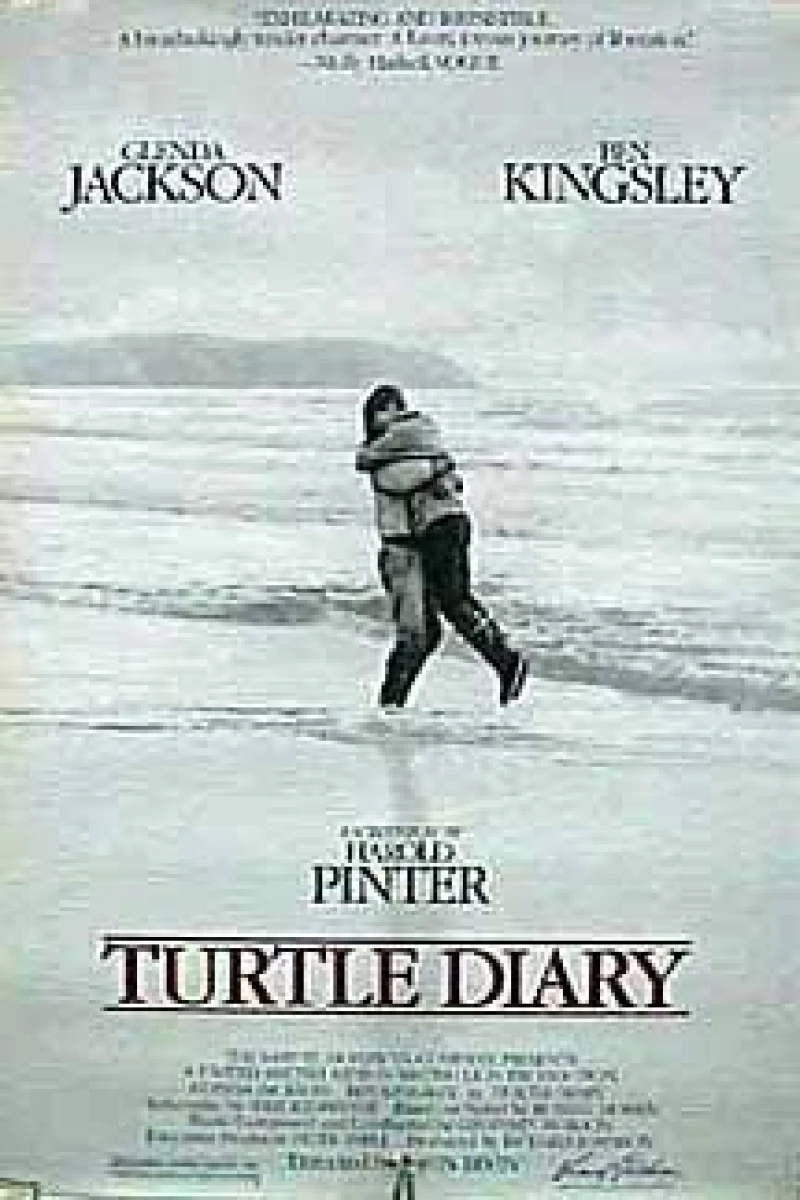 Turtle Diary Juliste