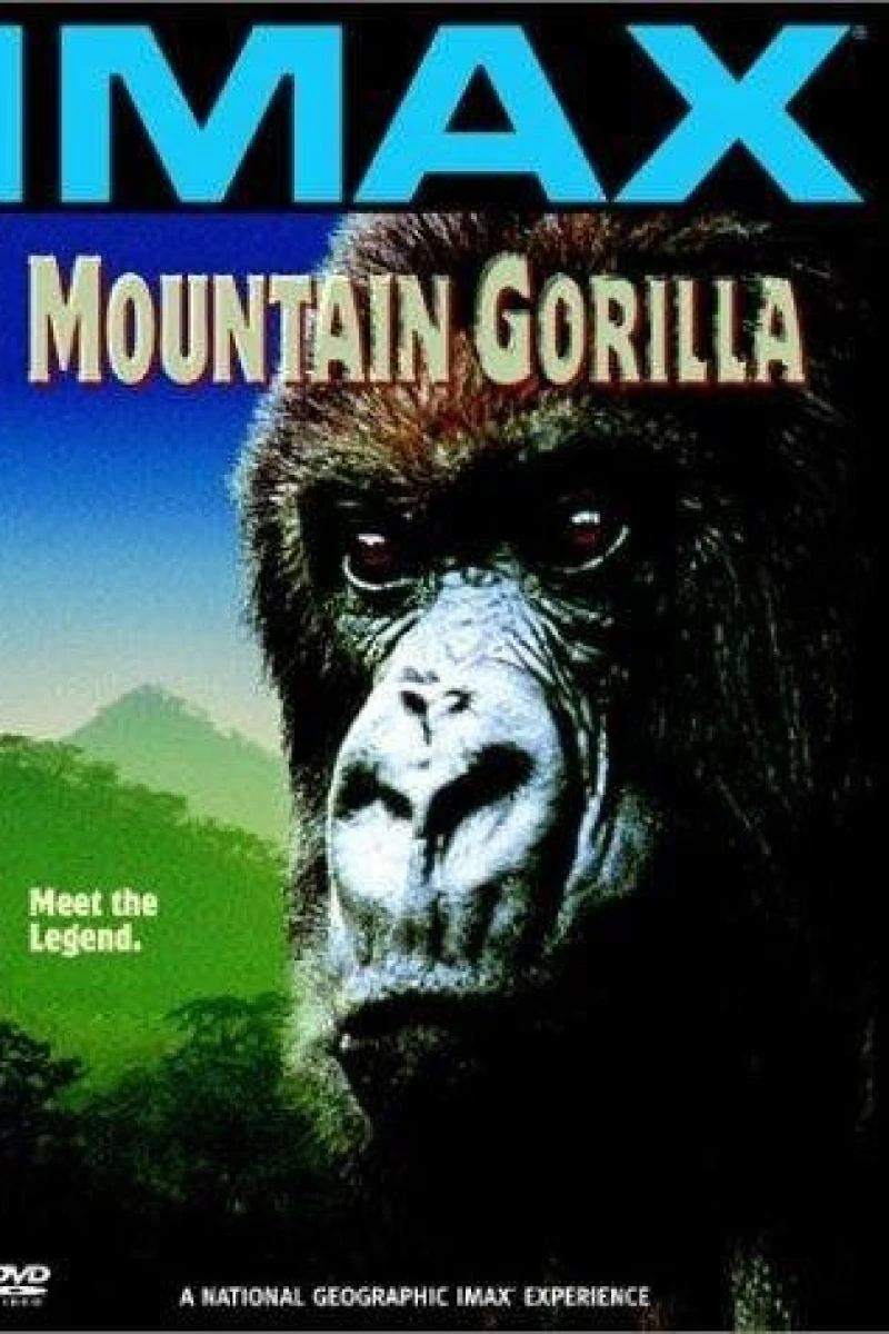 Mountain Gorilla Juliste