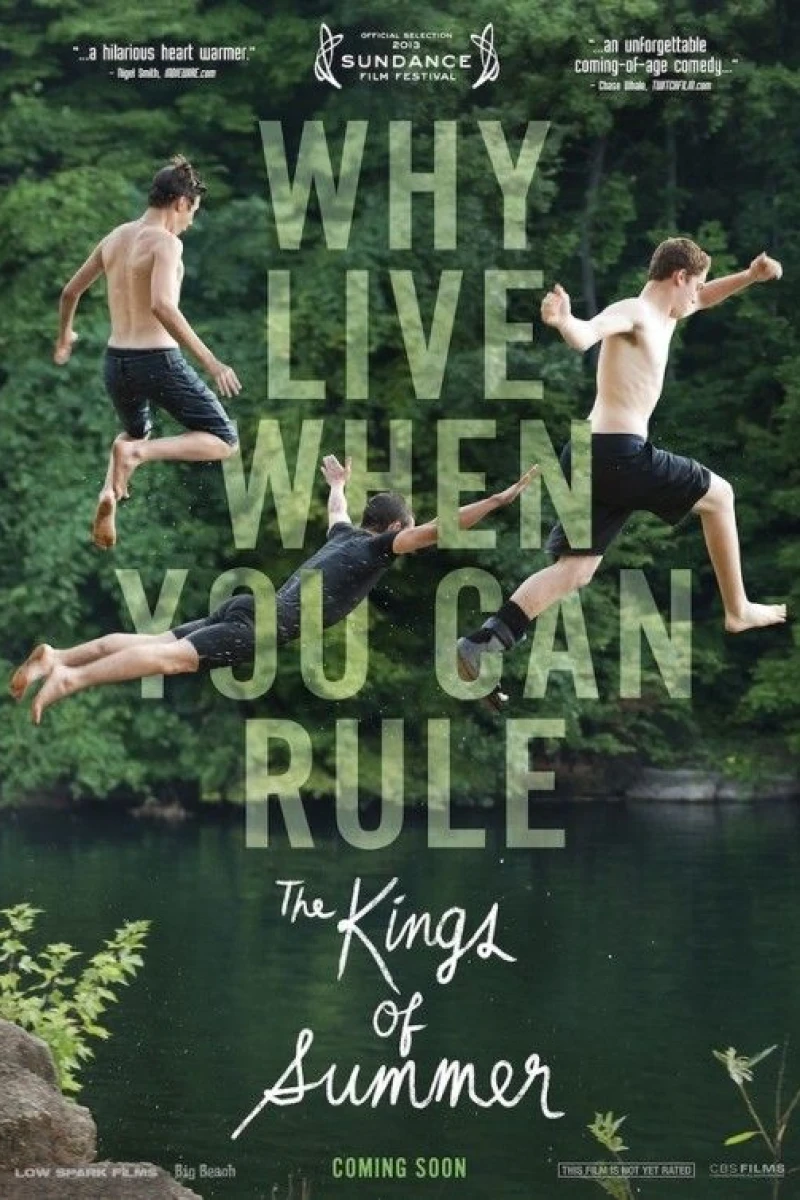 The Kings of Summer Juliste