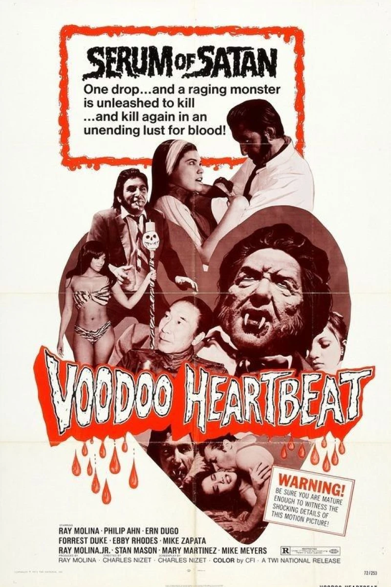 Voodoo Heartbeat Juliste