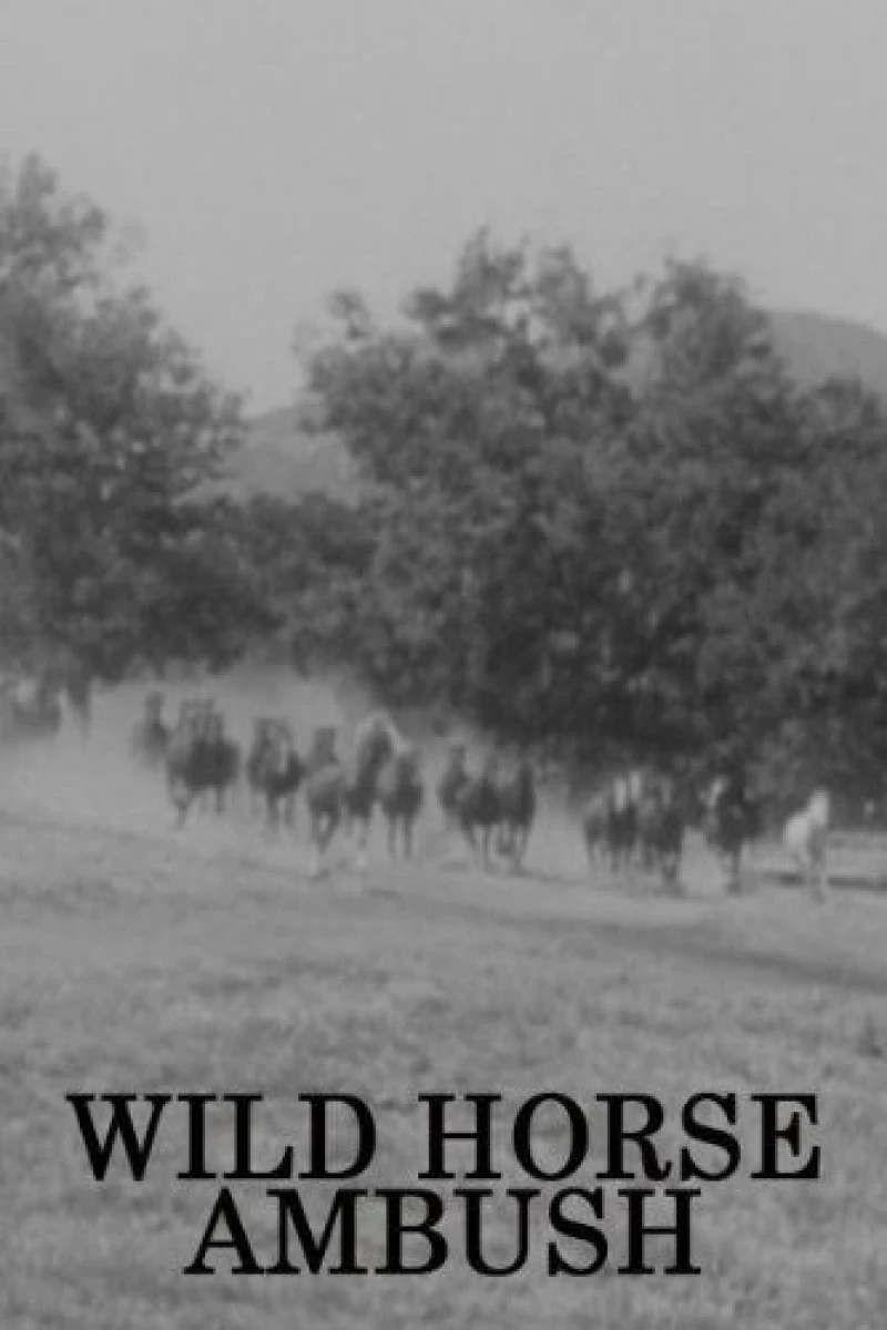 Wild Horse Ambush Juliste