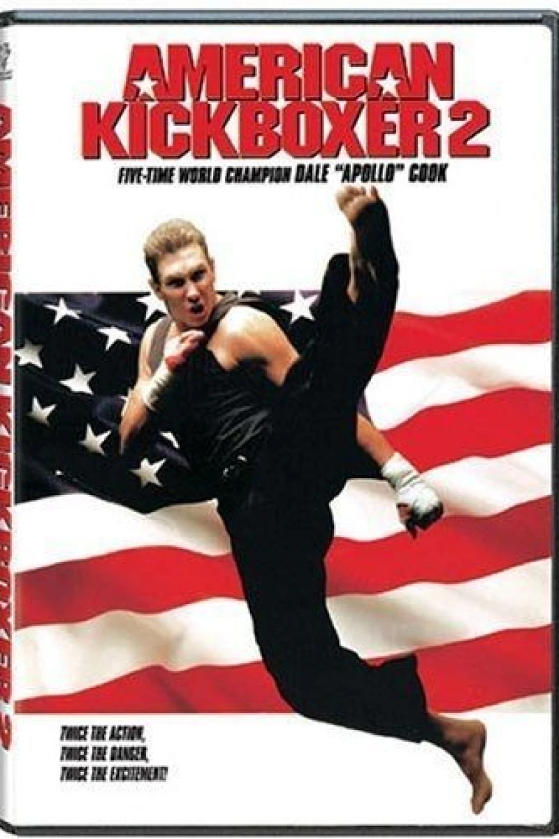 American Kickboxer 2 Juliste