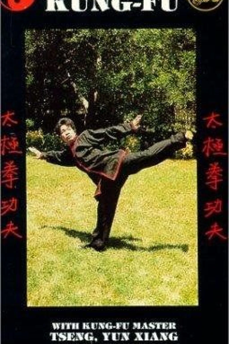 Shaolin Long Arm Juliste