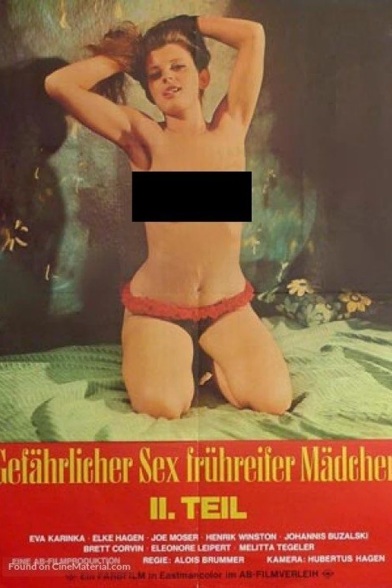 Gefährlicher Sex frühreifer Mädchen 2: Höllisch heiße Mädchen Juliste