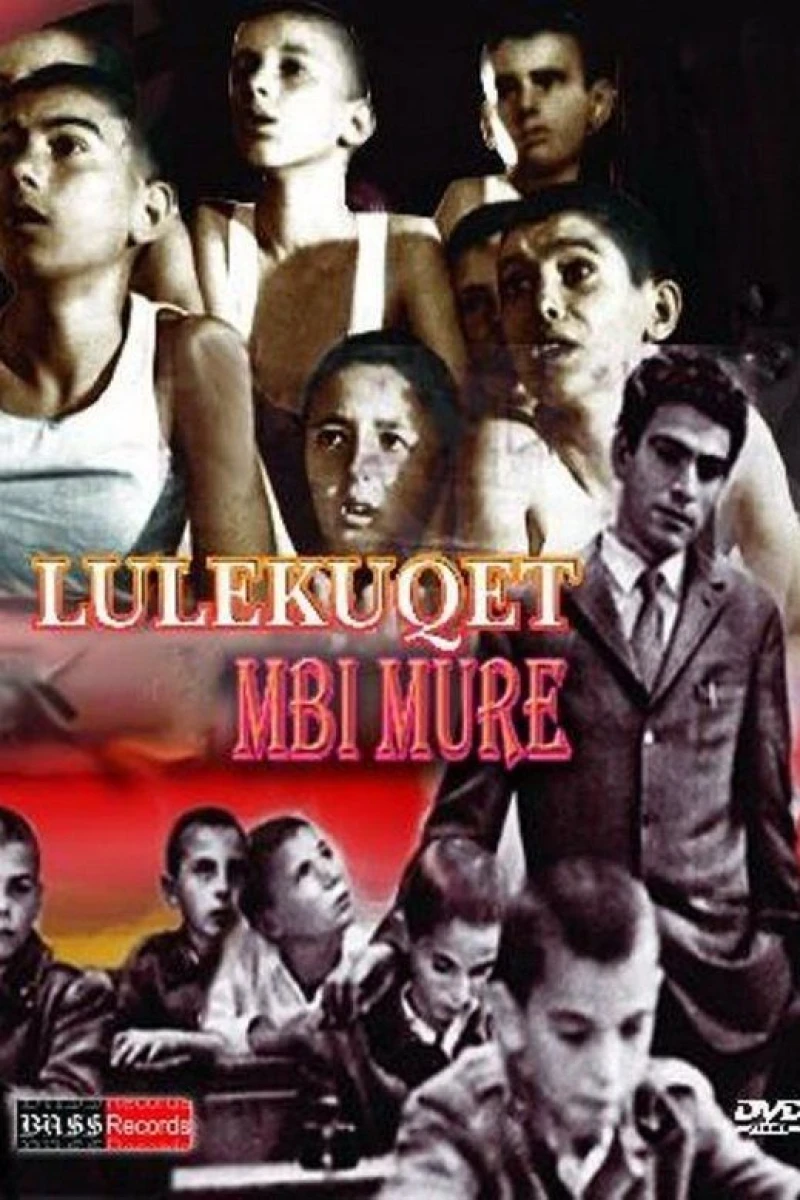 Lulekuqet mbi mure Juliste
