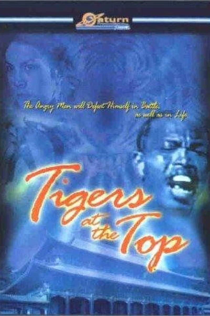 Tigers at the Top Juliste