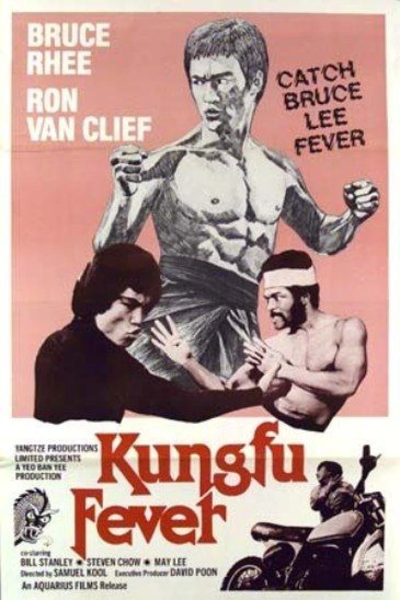 Kung Fu Fever Juliste