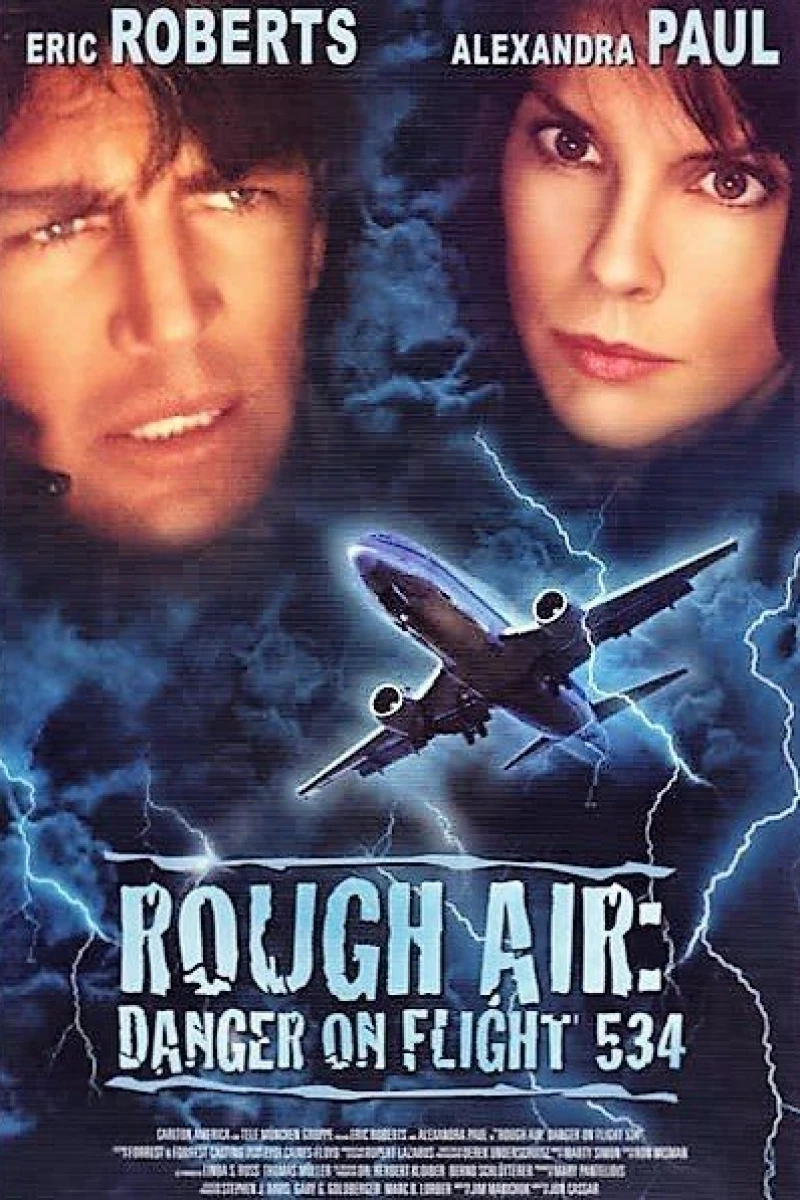 Rough Air: Danger on Flight 534 Juliste