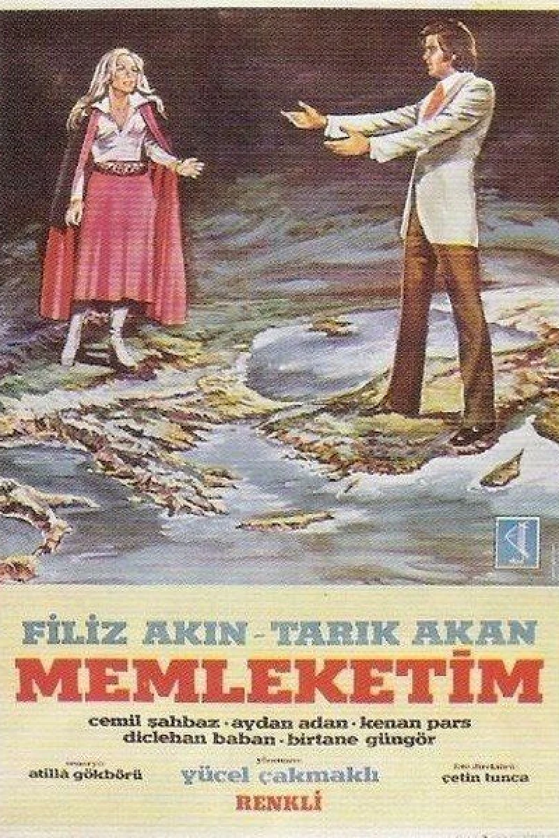 Memleketim Juliste