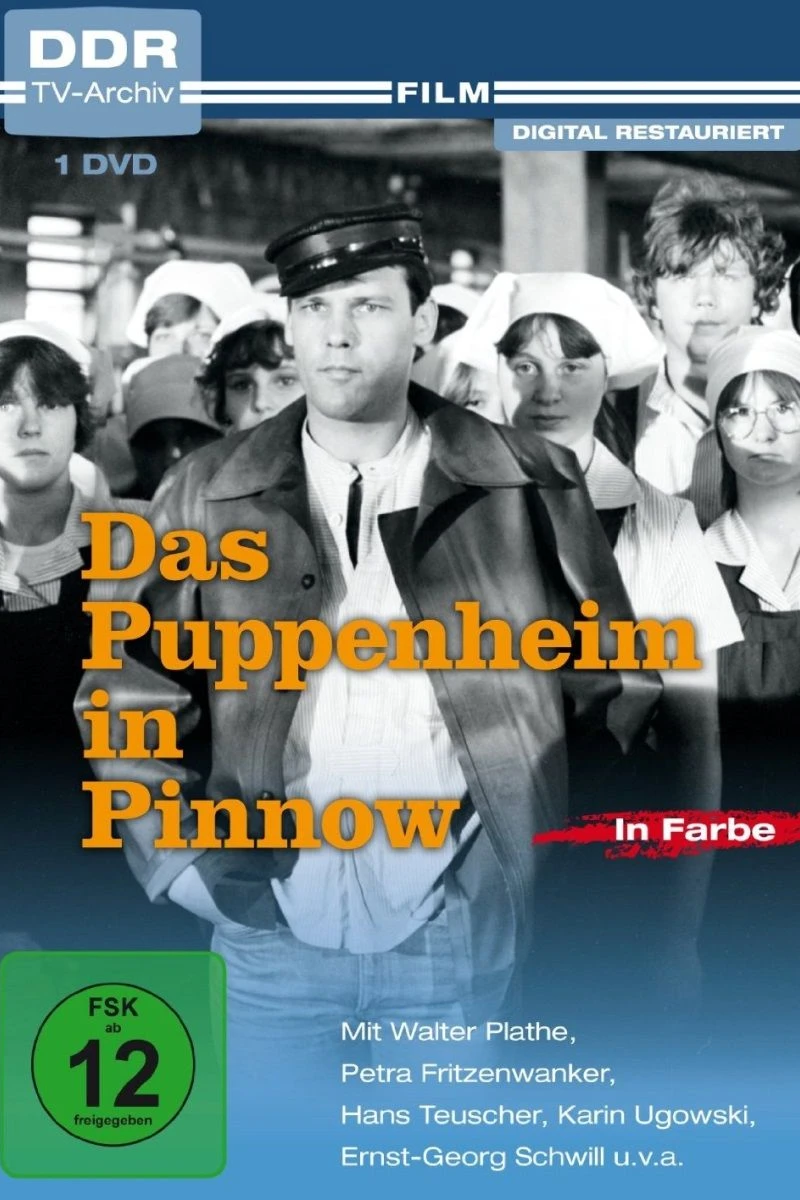 Das Puppenheim in Pinnow Juliste