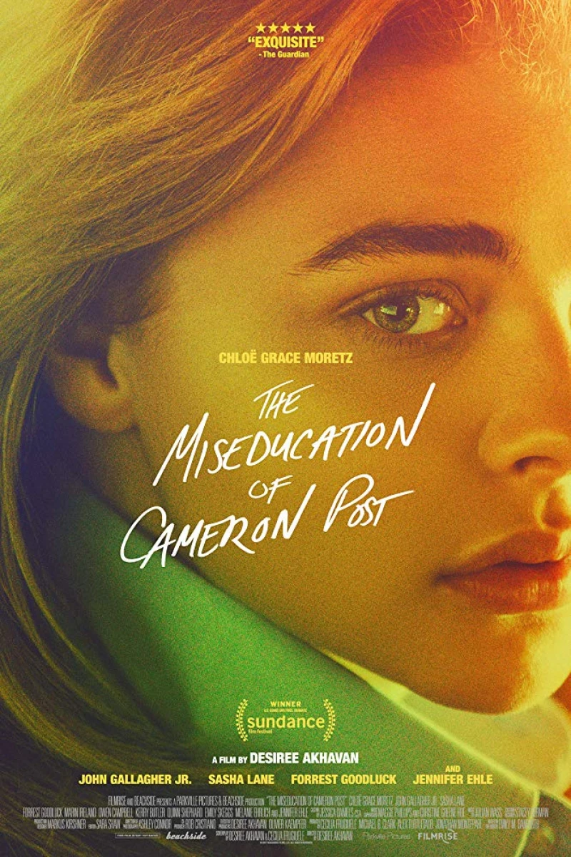 The Miseducation of Cameron Post Juliste