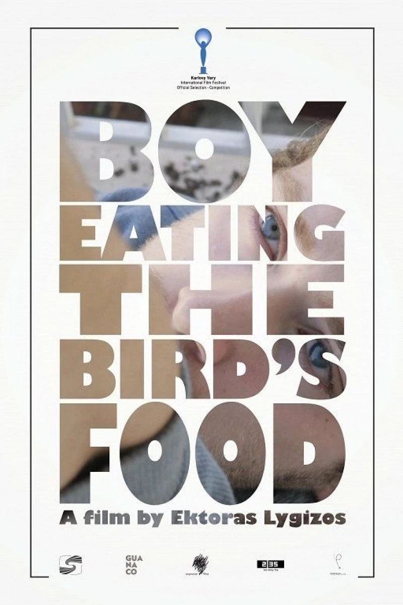 Boy Eating the Bird's Food Juliste