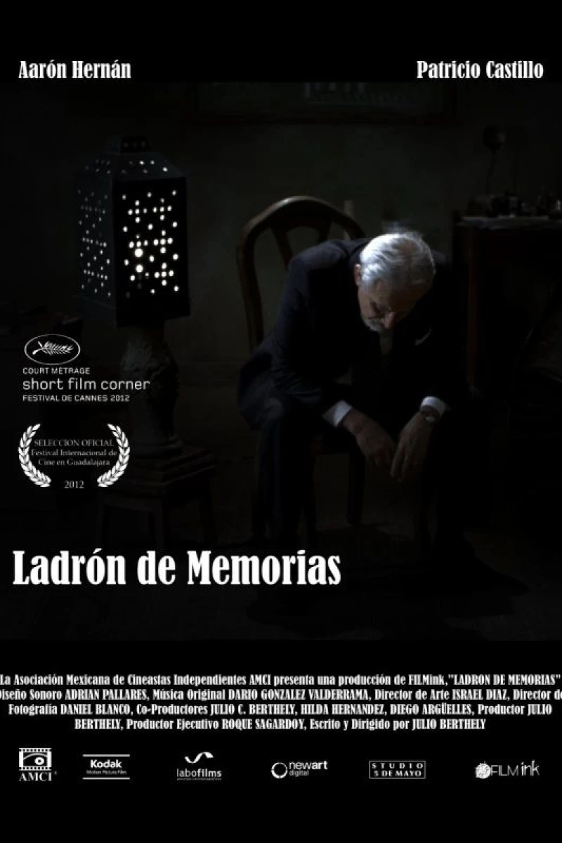 Ladrón de memorias Juliste