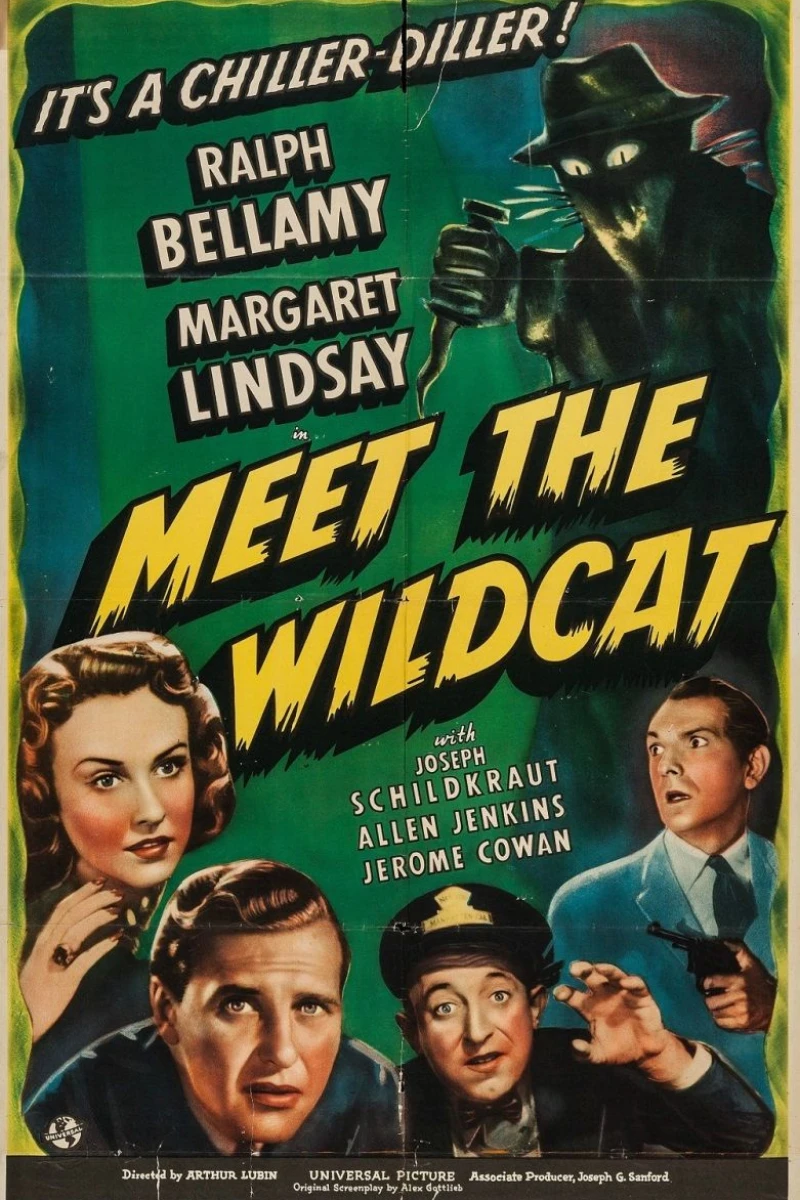 Meet the Wildcat Juliste