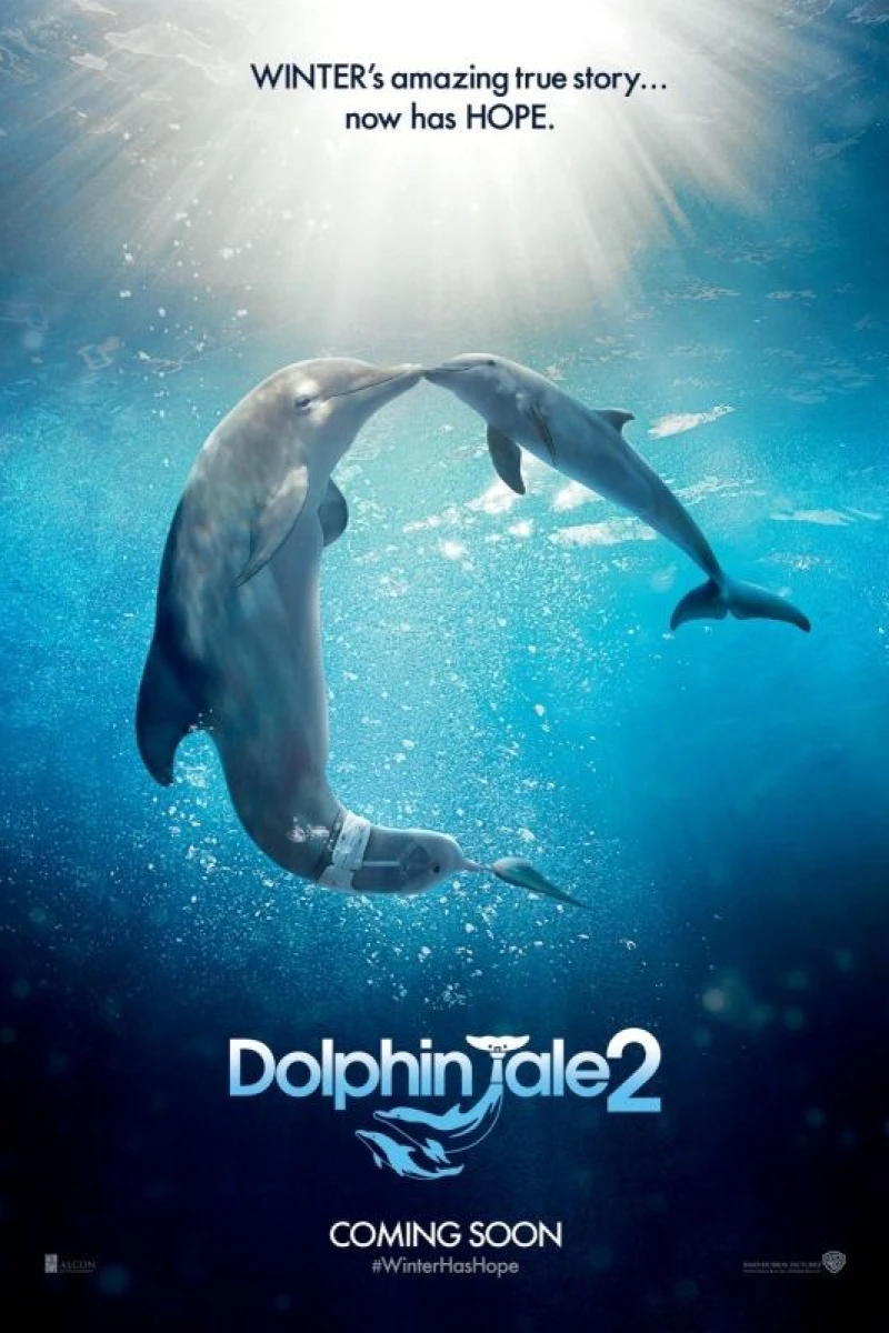 Dolphin Tale 2 Juliste