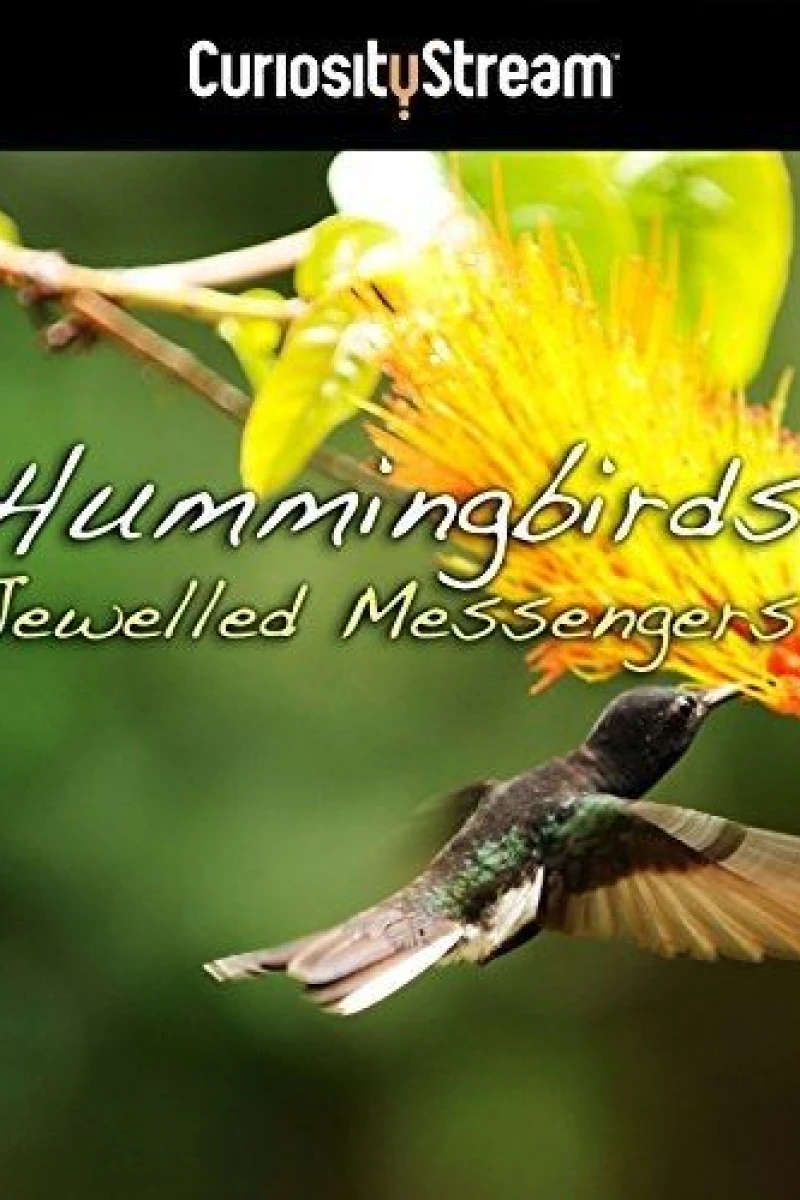 Hummingbirds Jewelled Messengers Juliste