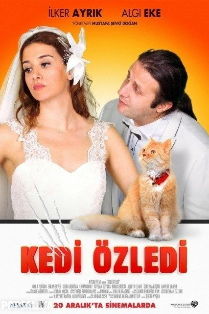 Kedi Özledi Juliste