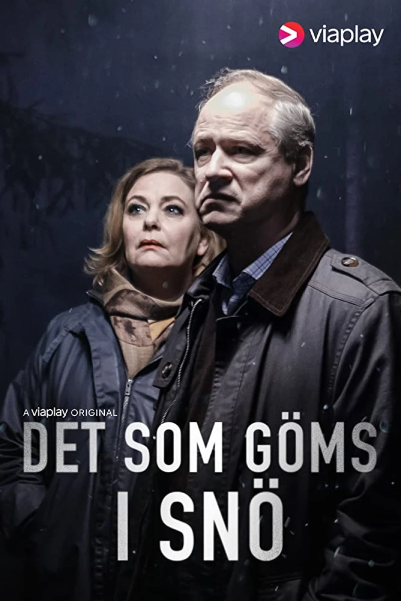 Det som göms i snö Juliste